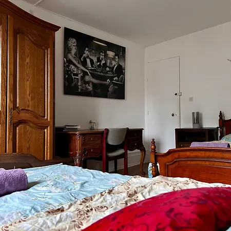 Spacious Centre Appartamento Strasburgo